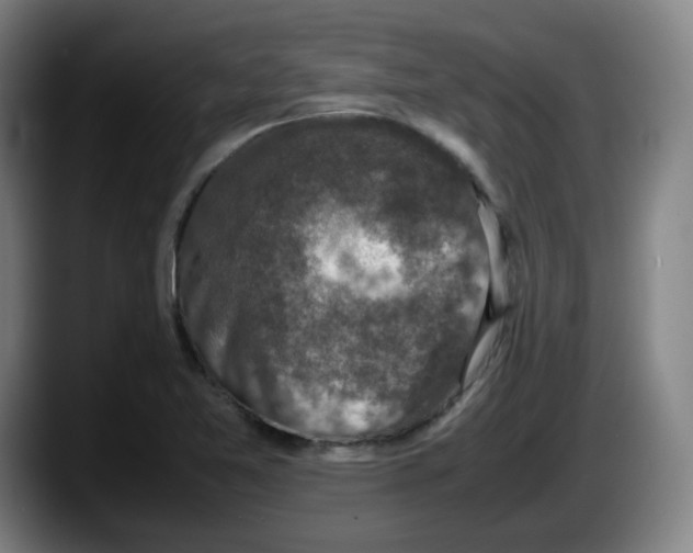 X0000087601365200705251913