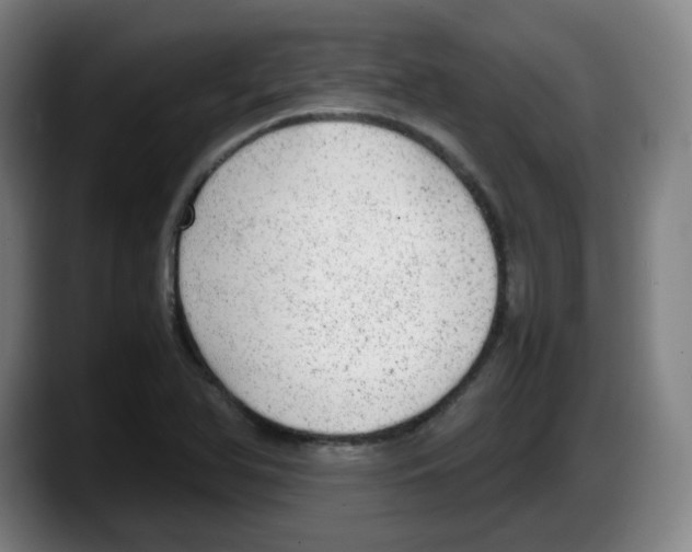 X0000087601366200705251913