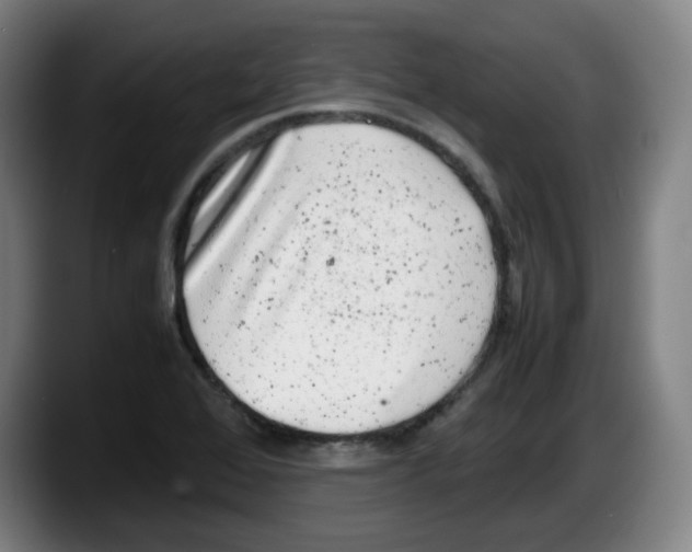 X0000087601368200705251913