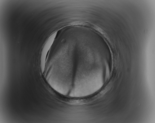 X0000087601369200705251913