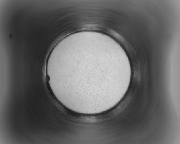 X0000087601370200705251913