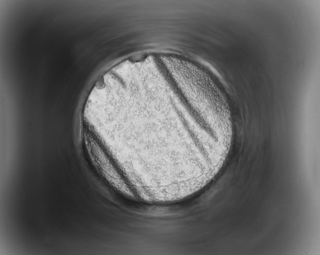 X0000087601371200705251913