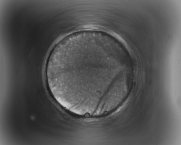 X0000087601373200705251913