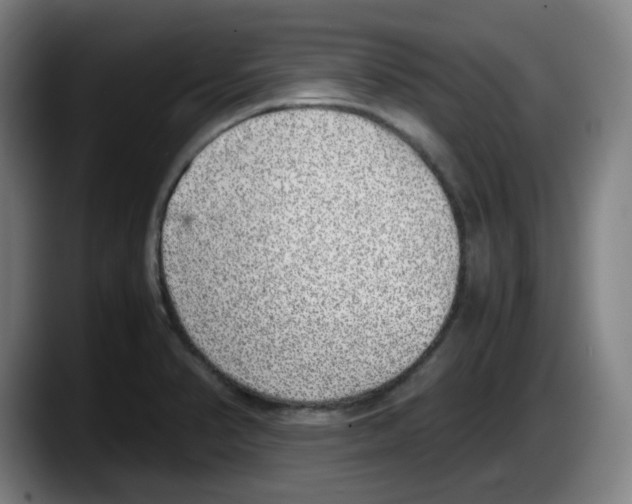 X0000087601374200705251913