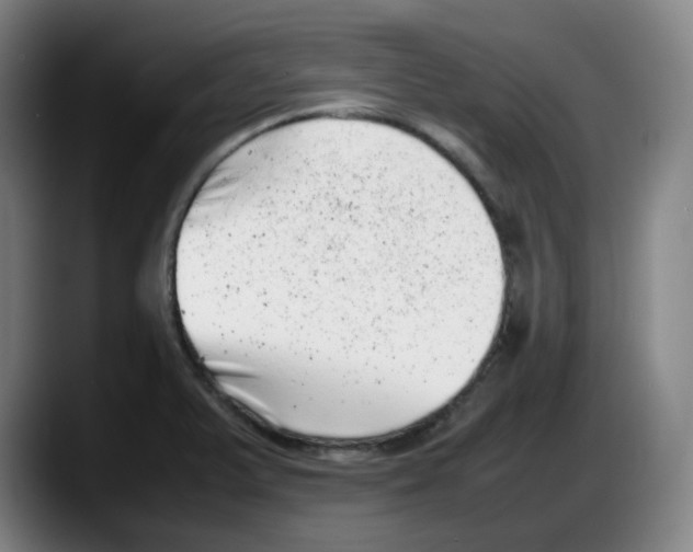 X0000087601375200705251913