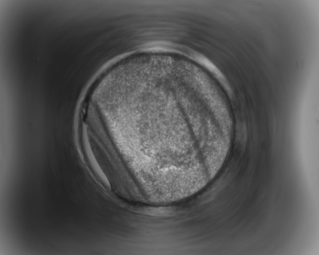 X0000087601376200705251913