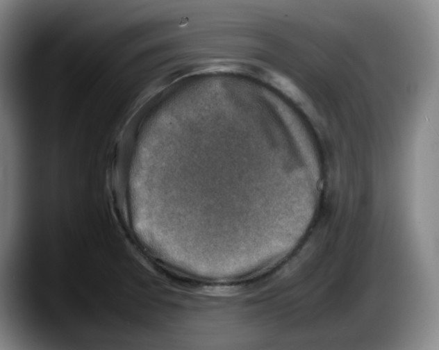 X0000087601377200705251913