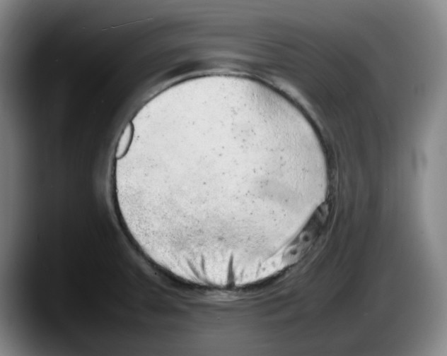 X0000087601379200705251913