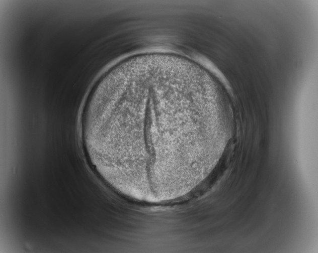 X0000087601380200705251913