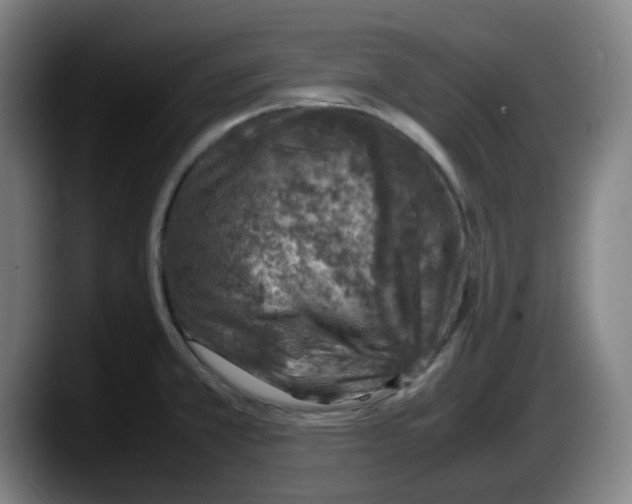 X0000087601381200705251913