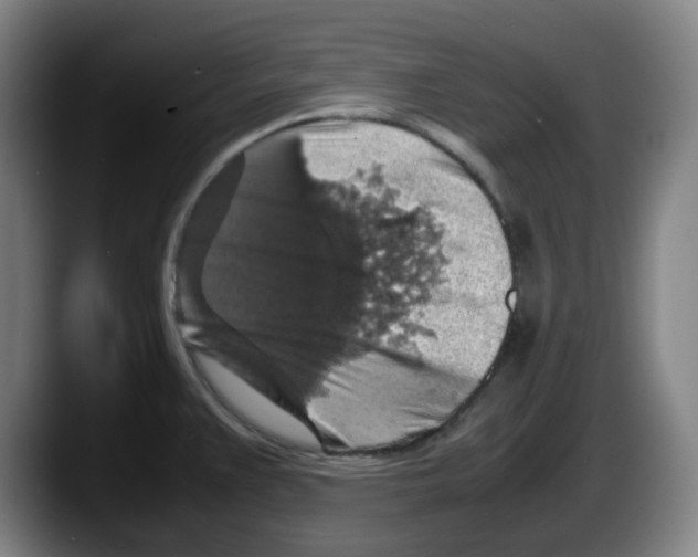 X0000087601383200705251913