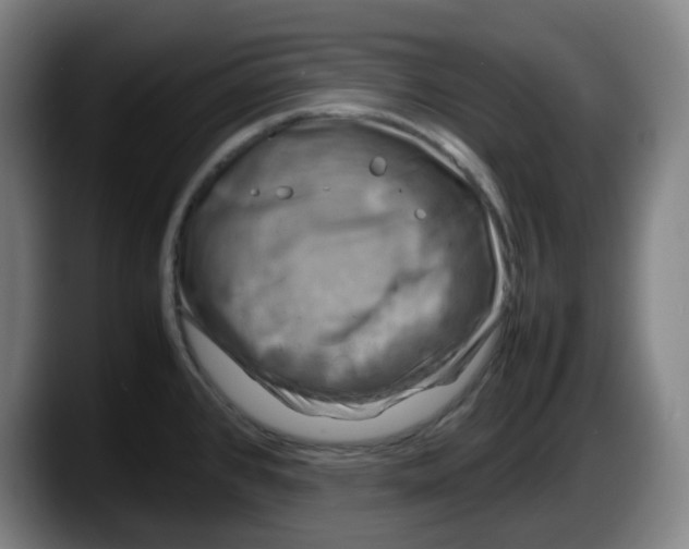 X0000087601384200705251913