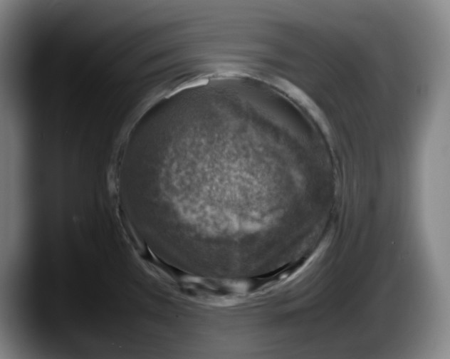 X0000087601385200705251913