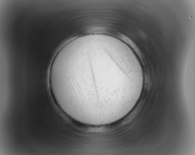 X0000087601386200705251913