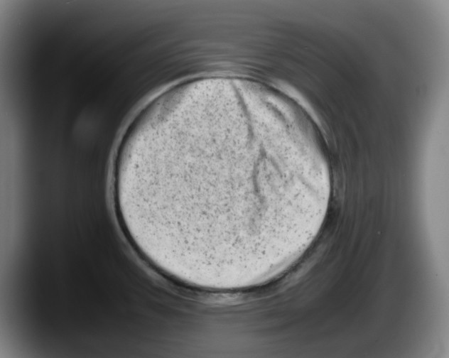 X0000087601387200705251913