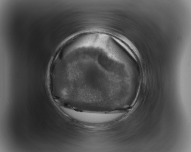 X0000087601388200705251913