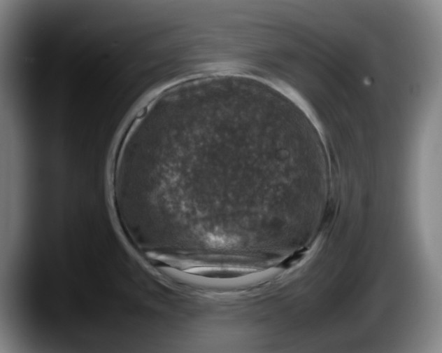 X0000087601389200705251913