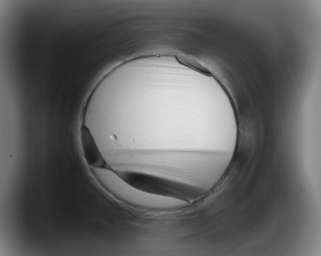 X0000087601390200705251913