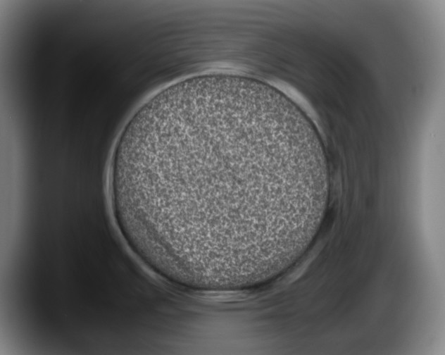 X0000087601391200705251913