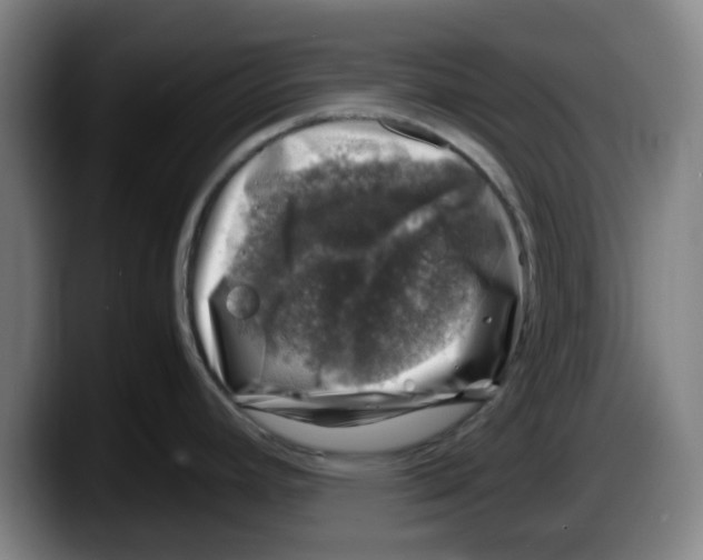 X0000087601392200705251913