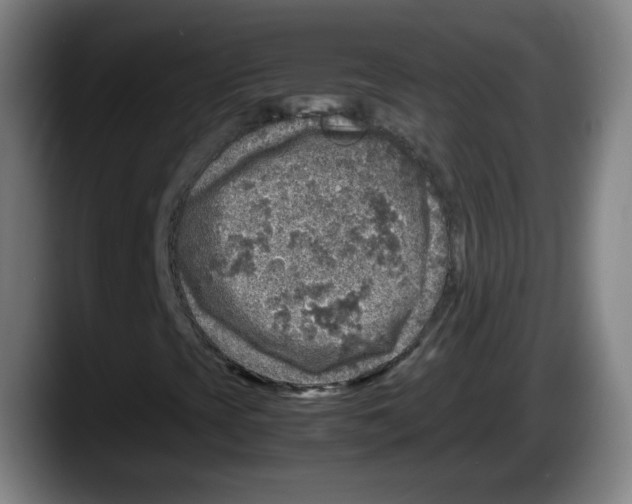 X0000087601393200705251912