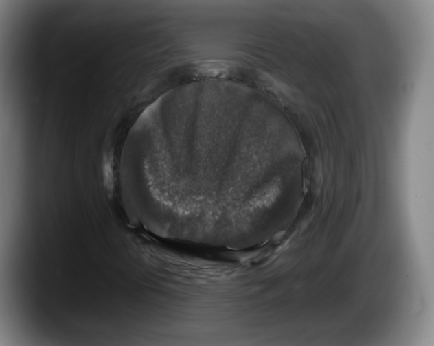 X0000087601394200705251912