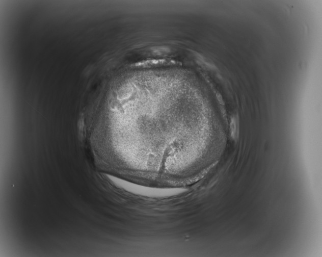 X0000087601395200705251912