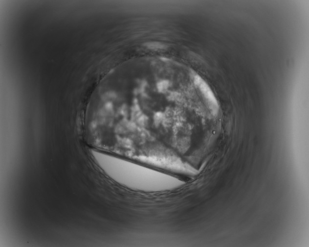 X0000087601397200705251912