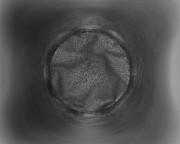 X0000087601398200705251912