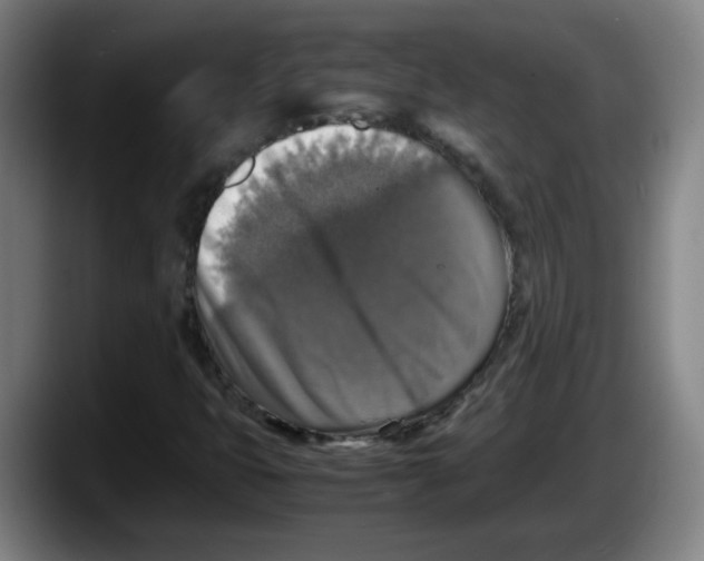 X0000087601399200705251912