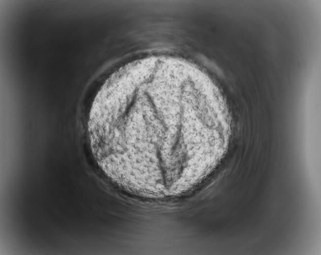 X0000087601400200705251912