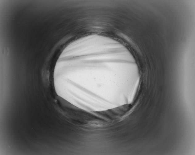 X0000087601402200705251913