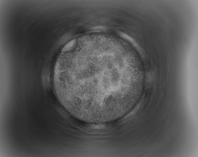 X0000087601403200705251913