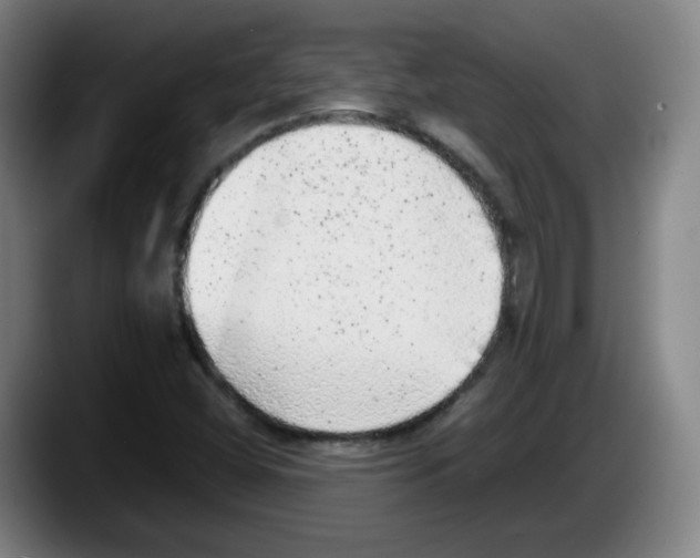 X0000087601404200705251913