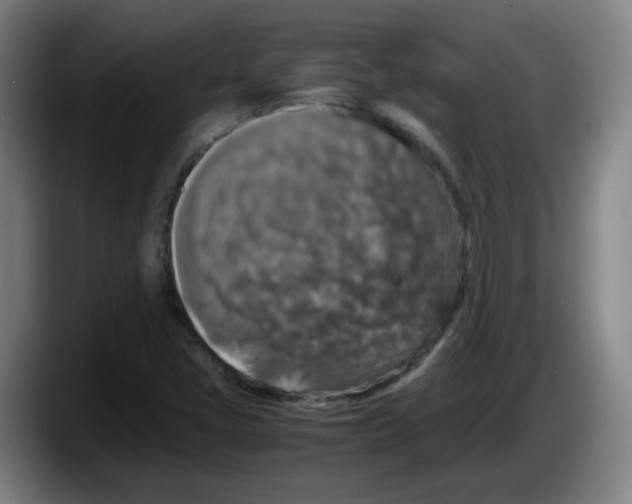 X0000087601405200705251913