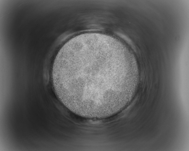 X0000087601407200705251913