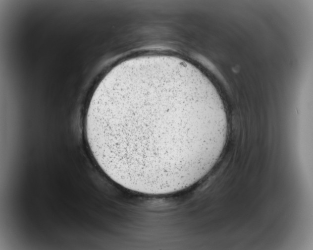 X0000087601408200705251913