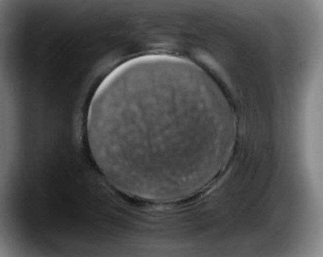 X0000087601411200705251913