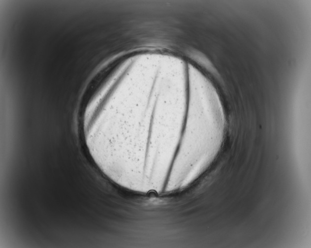 X0000087601412200705251913