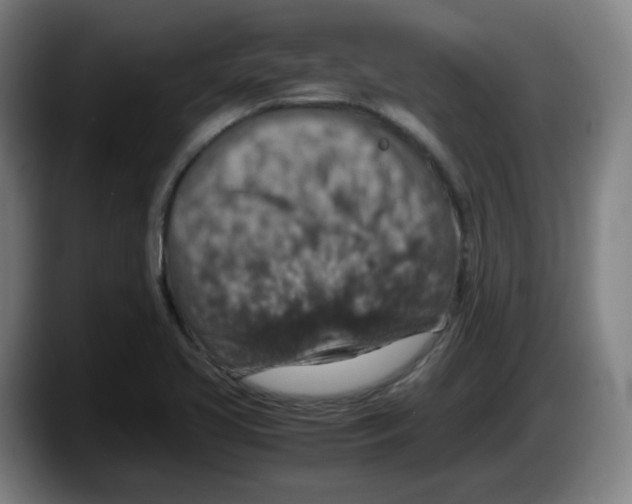 X0000087601413200705251913