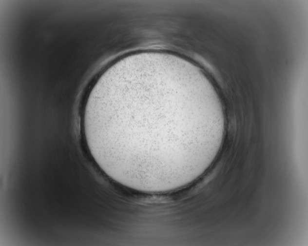 X0000087601414200705251913