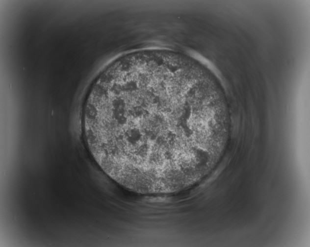 X0000087601415200705251913