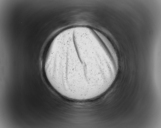 X0000087601416200705251913