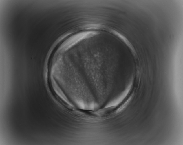 X0000087601418200705251913