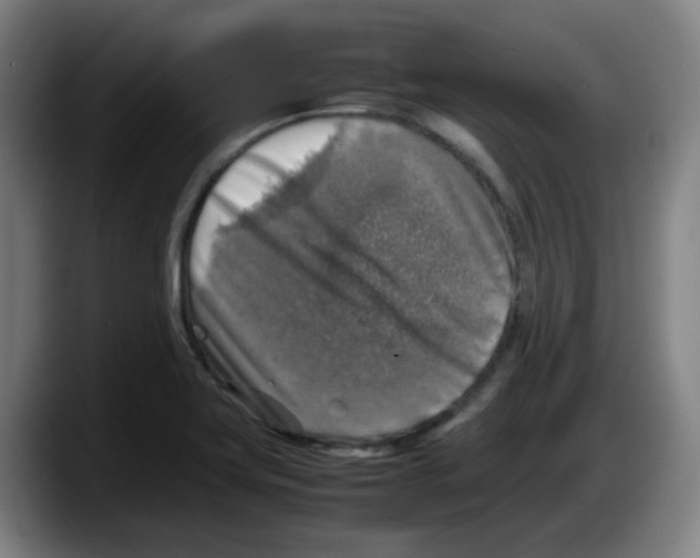 X0000087601419200705251913