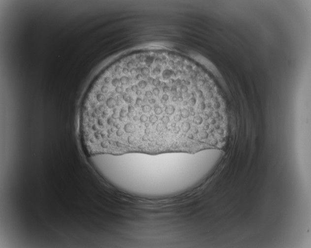 X0000087601420200705251913