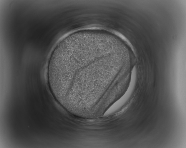 X0000087601421200705251913