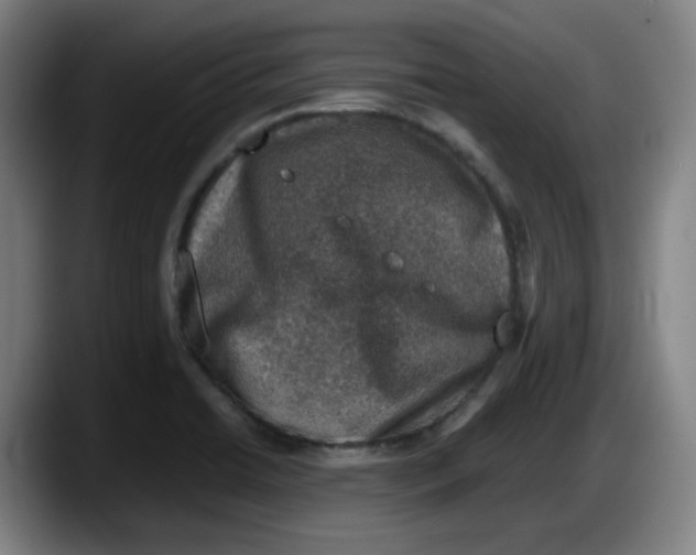 X0000087601422200705251913