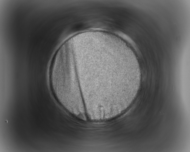 X0000087601423200705251913