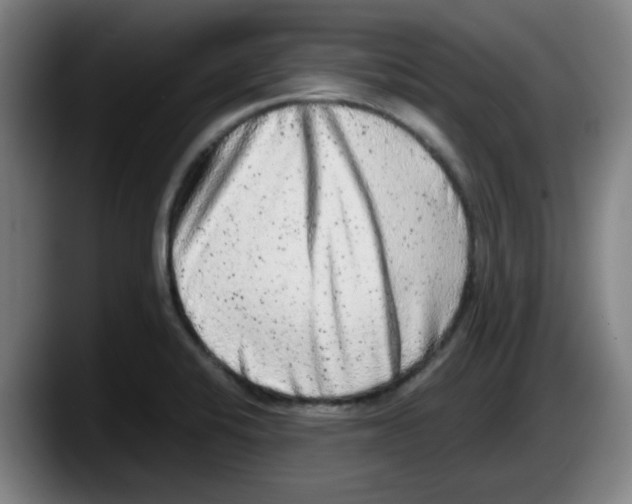 X0000087601424200705251913